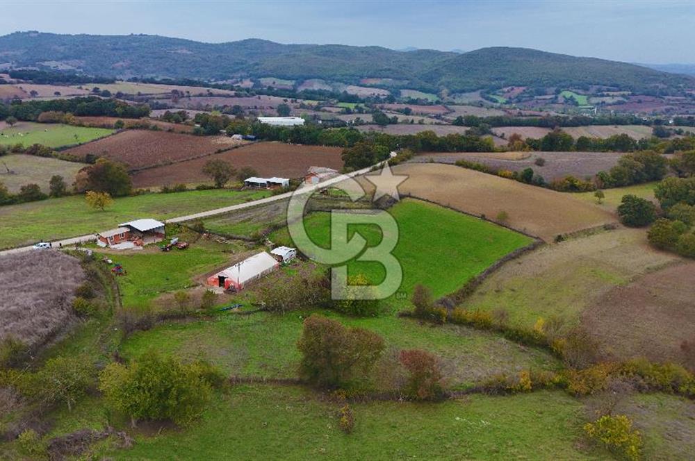 Çanakkale Biga Yanıç Köyünde Satılık 480 m2 Arsa !