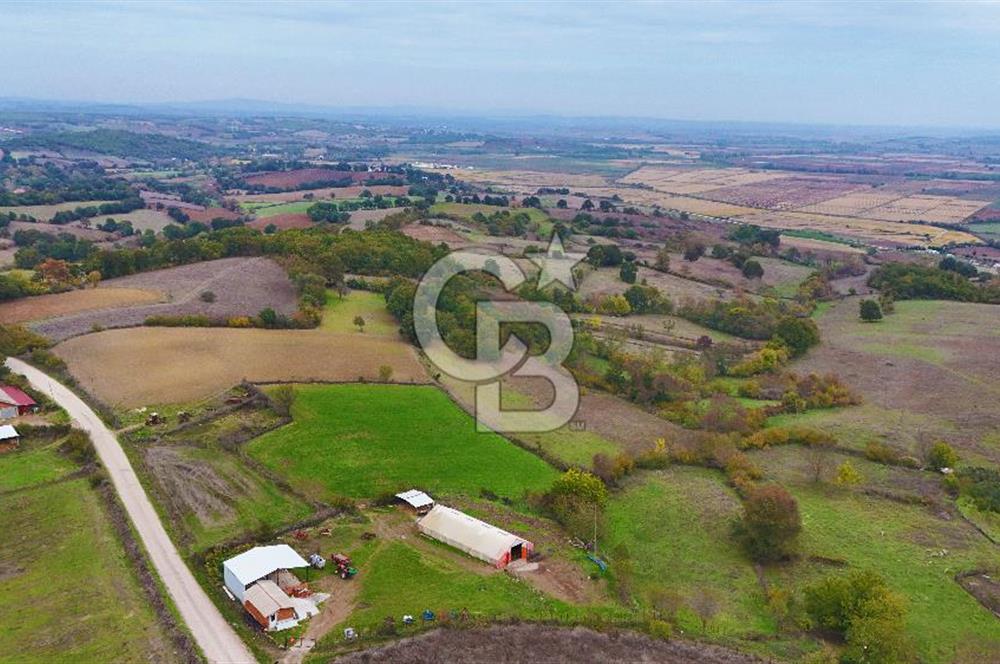 Çanakkale Biga Yanıç Köyünde Satılık 480 m2 Arsa !