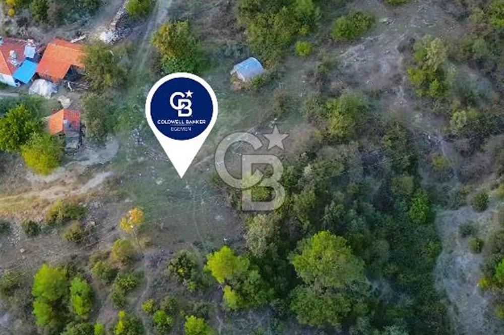 Muğla Ula Yayla Söğüt Mahallesi’nde 2046 m² Arsa