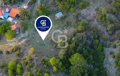 Muğla Ula Yayla Söğüt Mahallesi’nde 2046 m² Arsa