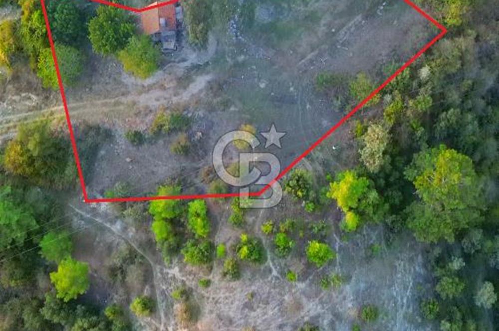 Muğla Ula Yayla Söğüt Mahallesi’nde 2046 m² Arsa