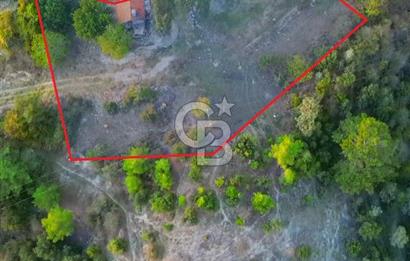 Muğla Ula Yayla Söğüt Mahallesi’nde 2046 m² Arsa