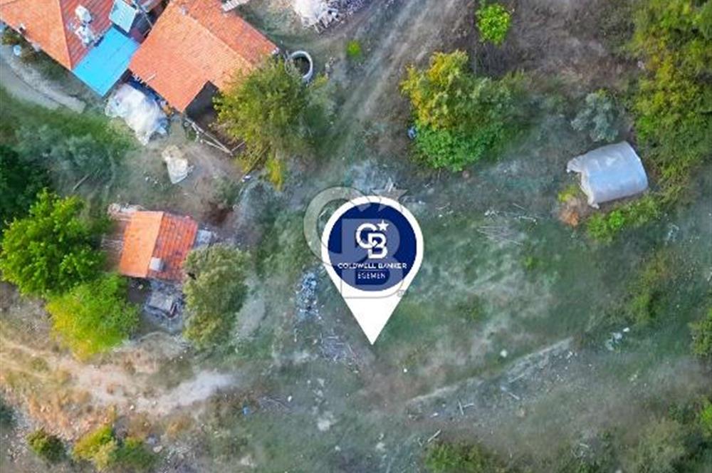 Muğla Ula Yayla Söğüt Mahallesi’nde 2046 m² Arsa