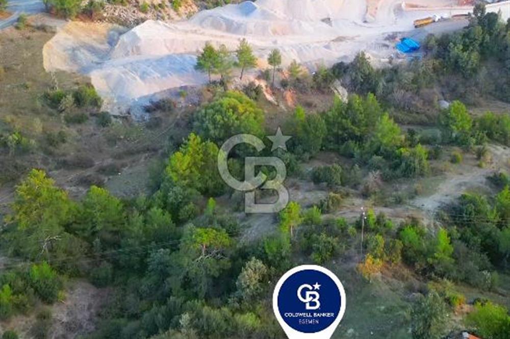 Muğla Ula Yayla Söğüt Mahallesi’nde 2046 m² Arsa