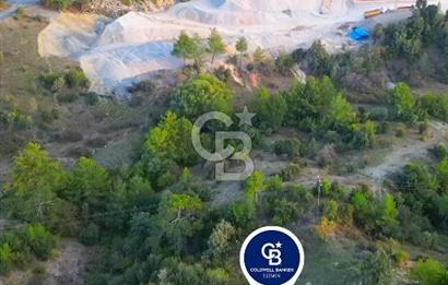 Muğla Ula Yayla Söğüt Mahallesi’nde 2046 m² Arsa