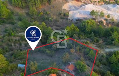 Muğla Ula Yayla Söğüt Mahallesi’nde 2046 m² Arsa