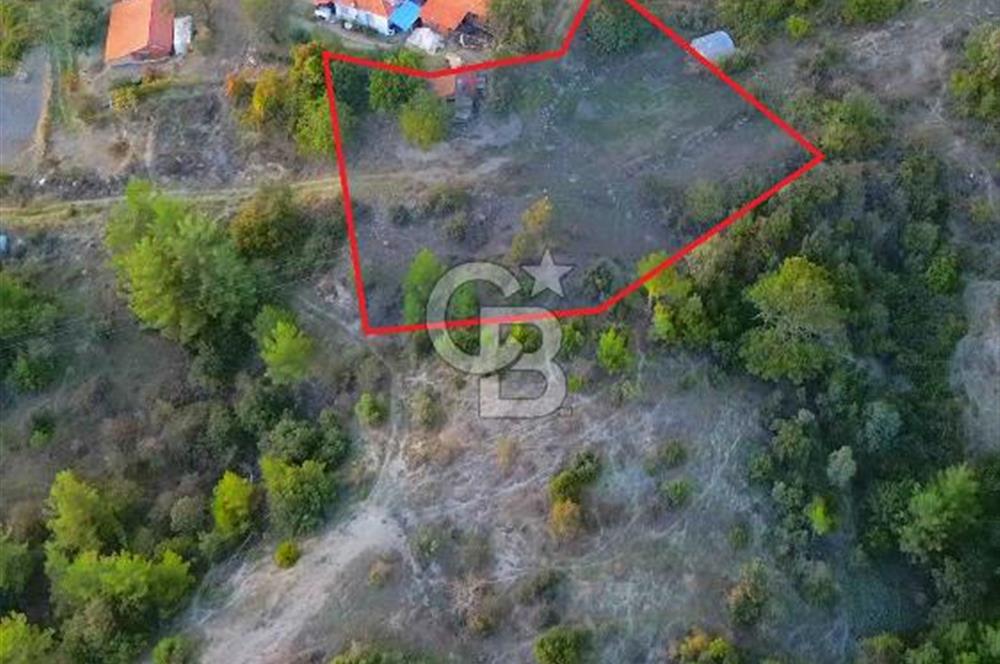 Muğla Ula Yayla Söğüt Mahallesi’nde 2046 m² Arsa
