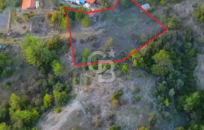 Muğla Ula Yayla Söğüt Mahallesi’nde 2046 m² Arsa