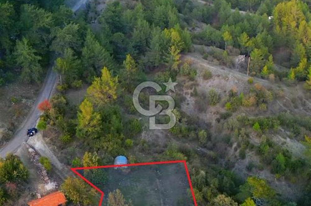 Muğla Ula Yayla Söğüt Mahallesi’nde 2046 m² Arsa