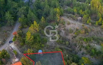 Muğla Ula Yayla Söğüt Mahallesi’nde 2046 m² Arsa