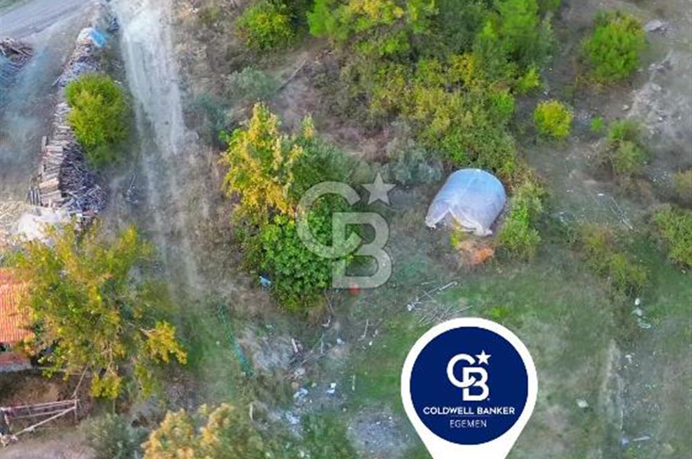 Muğla Ula Yayla Söğüt Mahallesi’nde 2046 m² Arsa