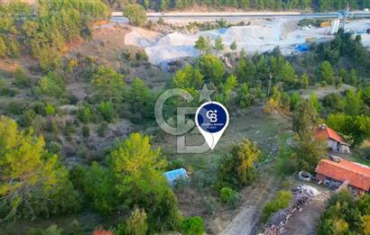 Muğla Ula Yayla Söğüt Mahallesi’nde 2046 m² Arsa