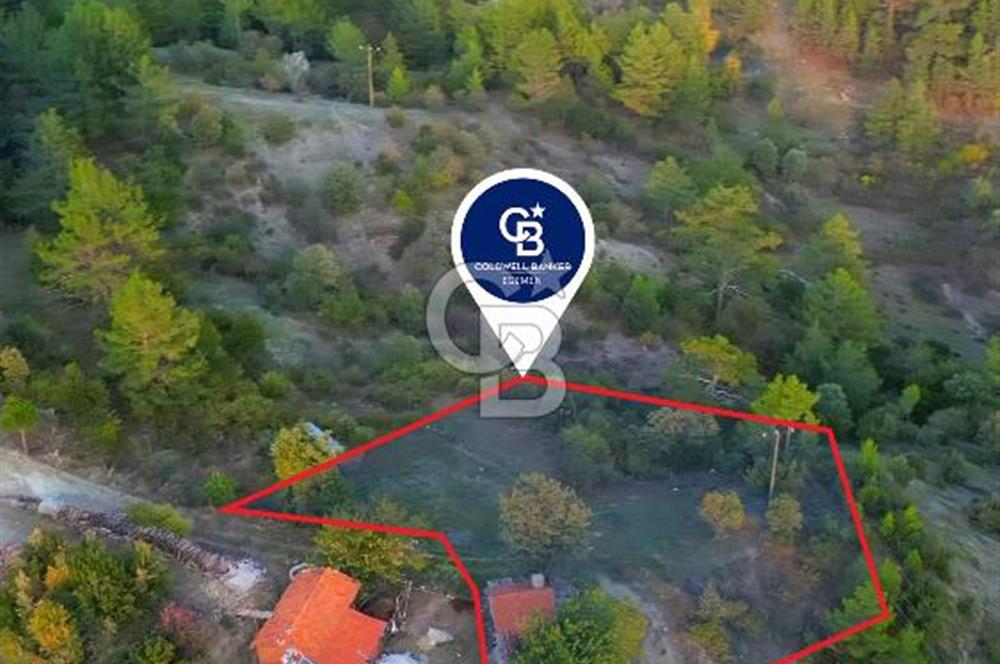 Muğla Ula Yayla Söğüt Mahallesi’nde 2046 m² Arsa