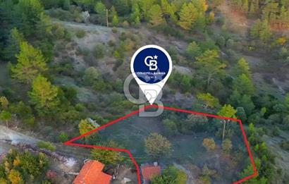 Muğla Ula Yayla Söğüt Mahallesi’nde 2046 m² Arsa