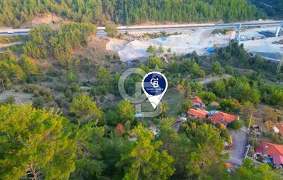 Muğla Ula Yayla Söğüt Mahallesi’nde 2046 m² Arsa