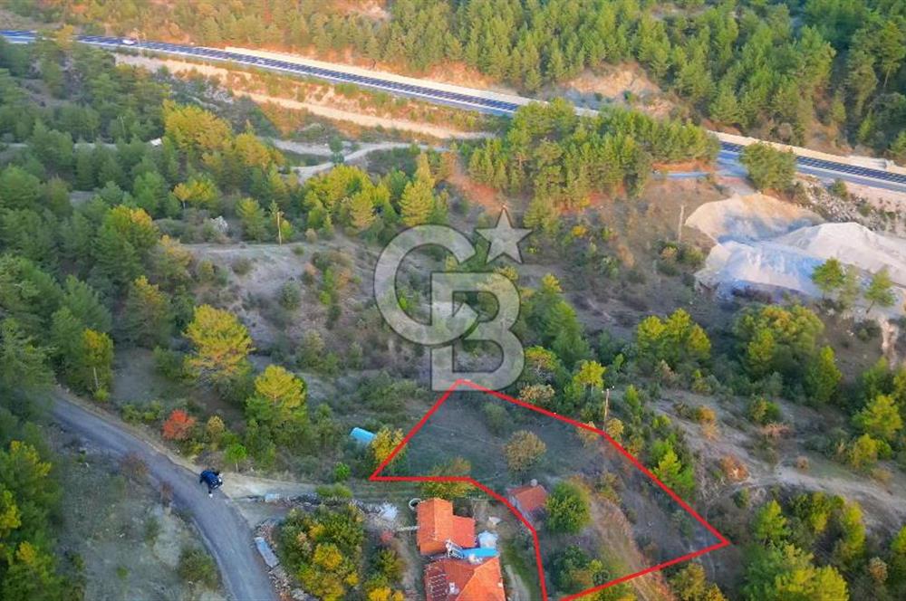 Muğla Ula Yayla Söğüt Mahallesi’nde 2046 m² Arsa