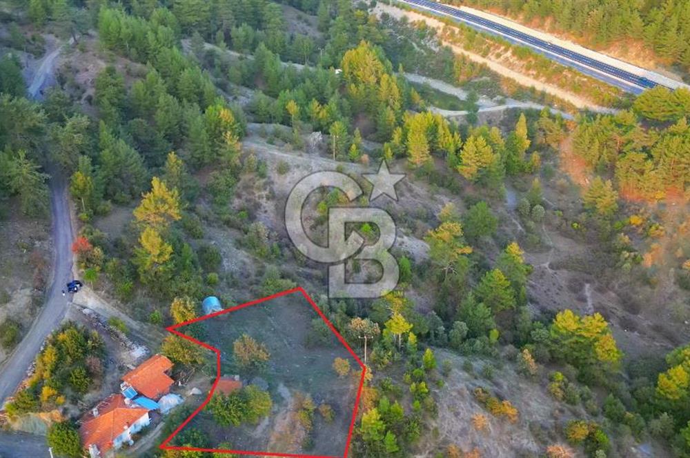 Muğla Ula Yayla Söğüt Mahallesi’nde 2046 m² Arsa