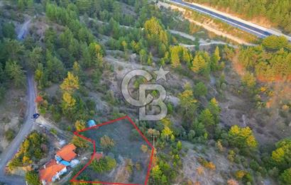 Muğla Ula Yayla Söğüt Mahallesi’nde 2046 m² Arsa