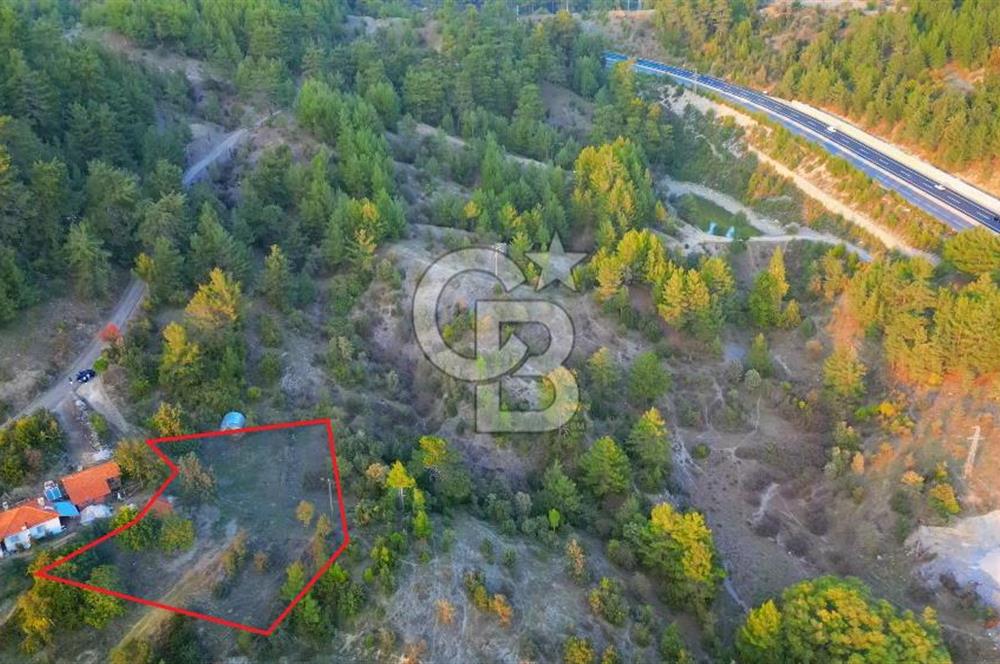 Muğla Ula Yayla Söğüt Mahallesi’nde 2046 m² Arsa