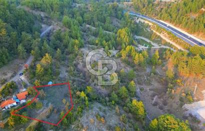 Muğla Ula Yayla Söğüt Mahallesi’nde 2046 m² Arsa