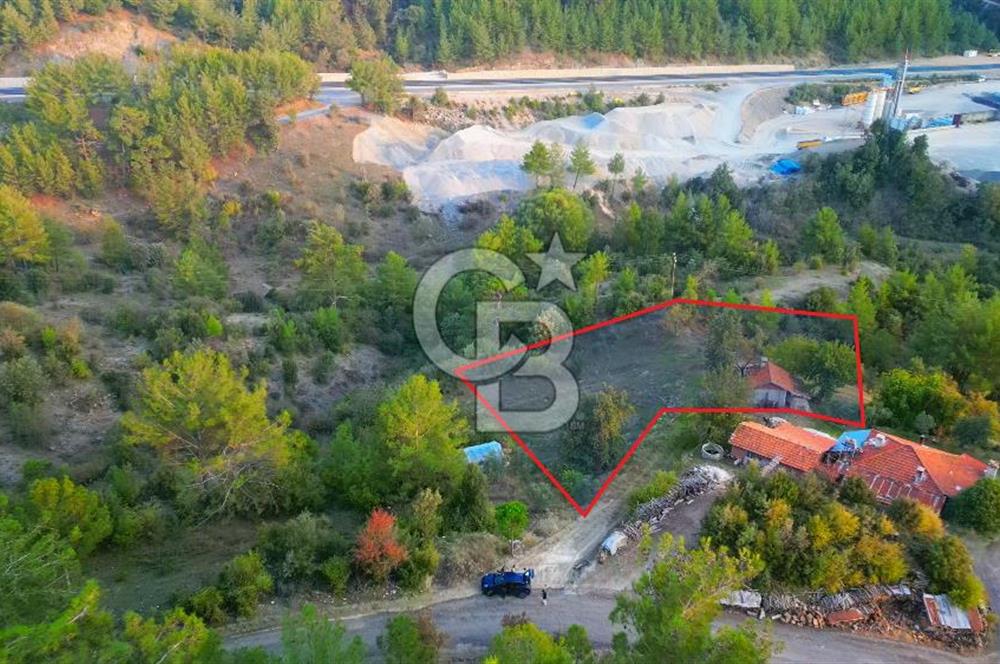 Muğla Ula Yayla Söğüt Mahallesi’nde 2046 m² Arsa