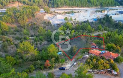 Muğla Ula Yayla Söğüt Mahallesi’nde 2046 m² Arsa