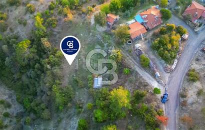 Muğla Ula Yayla Söğüt Mahallesi’nde 2046 m² Arsa