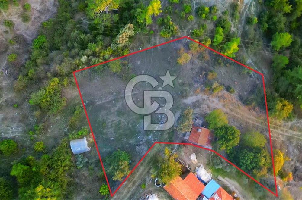Muğla Ula Yayla Söğüt Mahallesi’nde 2046 m² Arsa