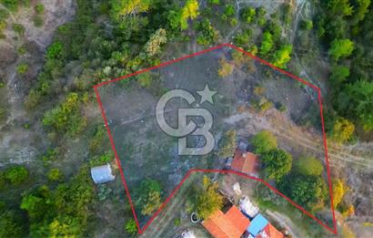 Muğla Ula Yayla Söğüt Mahallesi’nde 2046 m² Arsa