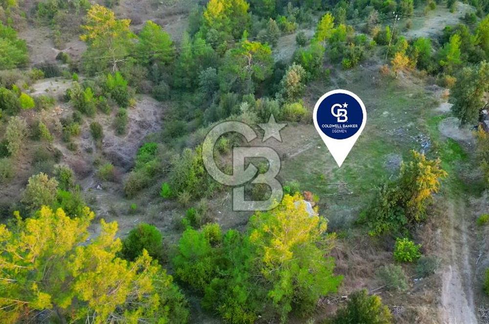 Muğla Ula Yayla Söğüt Mahallesi’nde 2046 m² Arsa