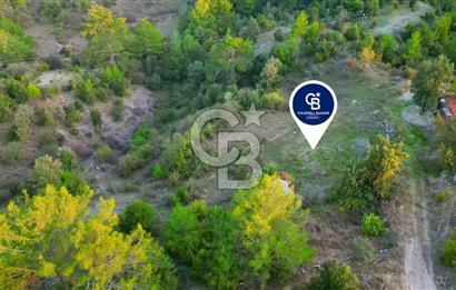 Muğla Ula Yayla Söğüt Mahallesi’nde 2046 m² Arsa