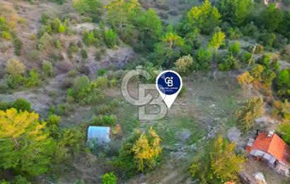 Muğla Ula Yayla Söğüt Mahallesi’nde 2046 m² Arsa