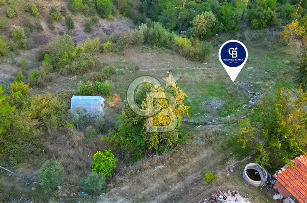 Muğla Ula Yayla Söğüt Mahallesi’nde 2046 m² Arsa