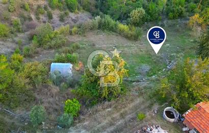 Muğla Ula Yayla Söğüt Mahallesi’nde 2046 m² Arsa