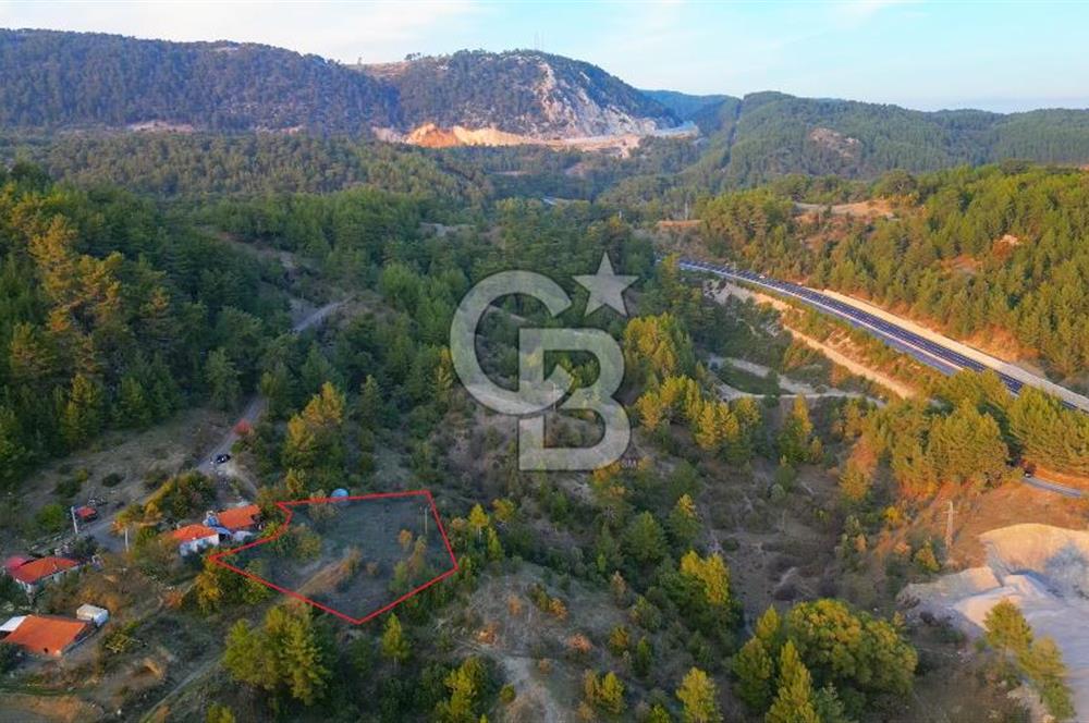 Muğla Ula Yayla Söğüt Mahallesi’nde 2046 m² Arsa