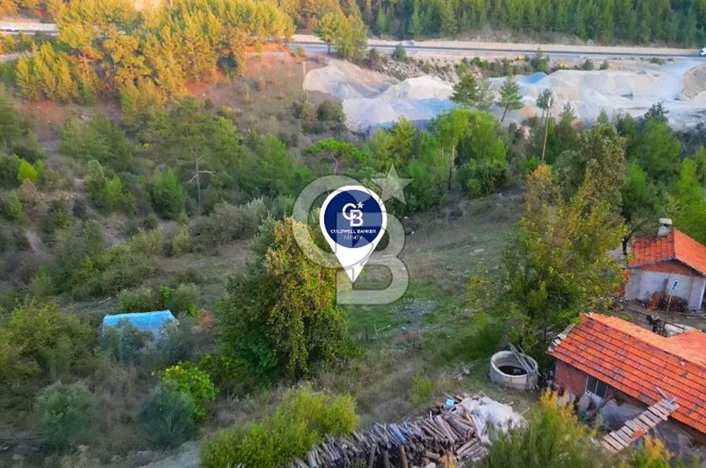 Muğla Ula Yayla Söğüt Mahallesi’nde 2046 m² Arsa