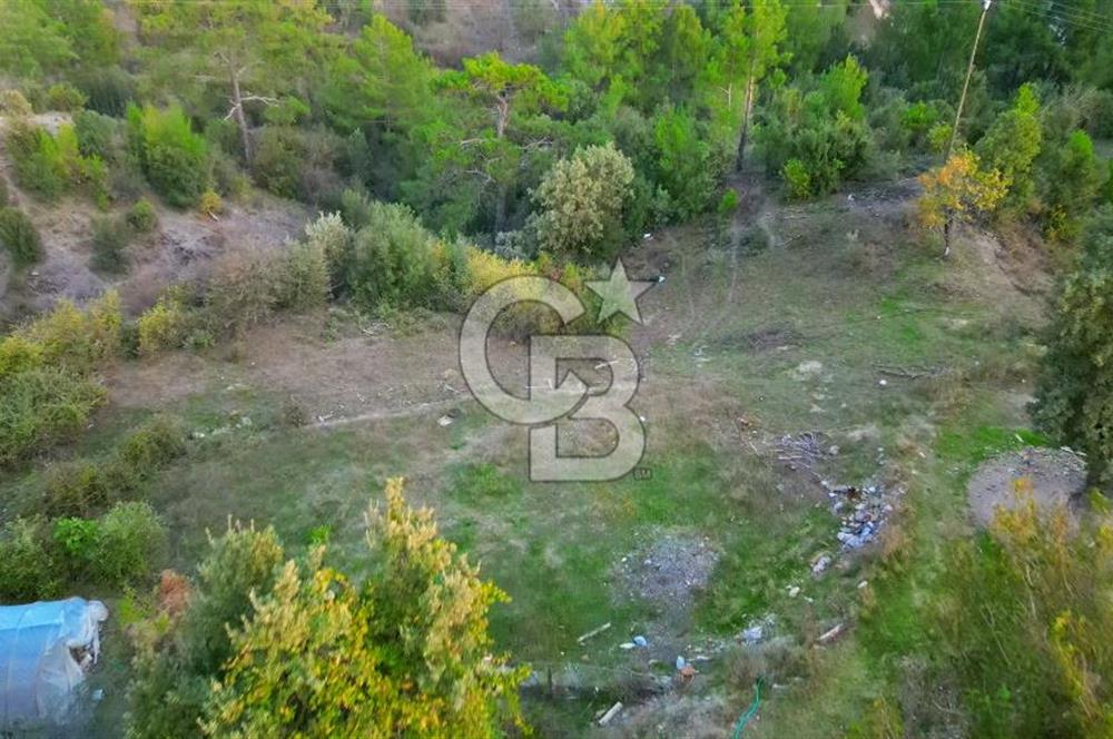 Muğla Ula Yayla Söğüt Mahallesi’nde 2046 m² Arsa