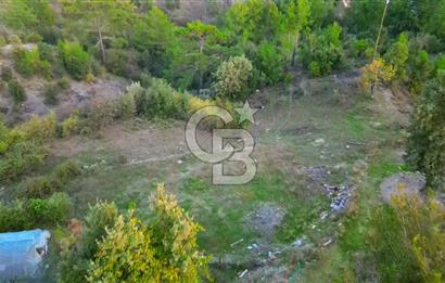 Muğla Ula Yayla Söğüt Mahallesi’nde 2046 m² Arsa