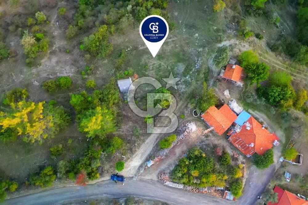 Muğla Ula Yayla Söğüt Mahallesi’nde 2046 m² Arsa