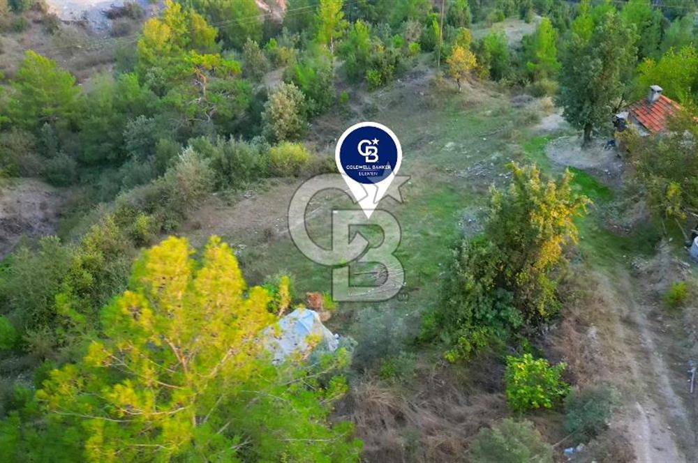 Muğla Ula Yayla Söğüt Mahallesi’nde 2046 m² Arsa