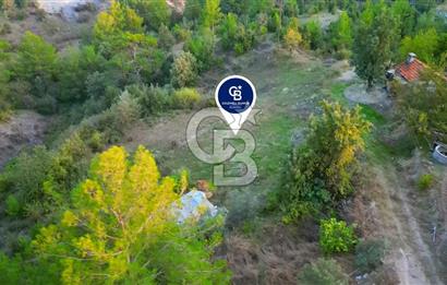 Muğla Ula Yayla Söğüt Mahallesi’nde 2046 m² Arsa