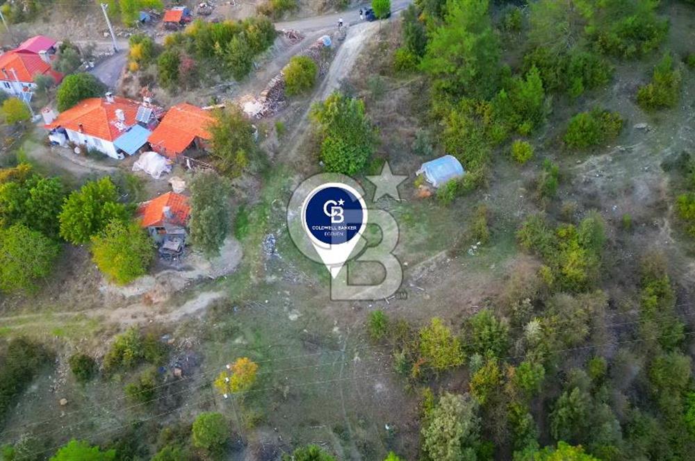 Muğla Ula Yayla Söğüt Mahallesi’nde 2046 m² Arsa