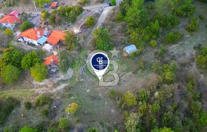 Muğla Ula Yayla Söğüt Mahallesi’nde 2046 m² Arsa