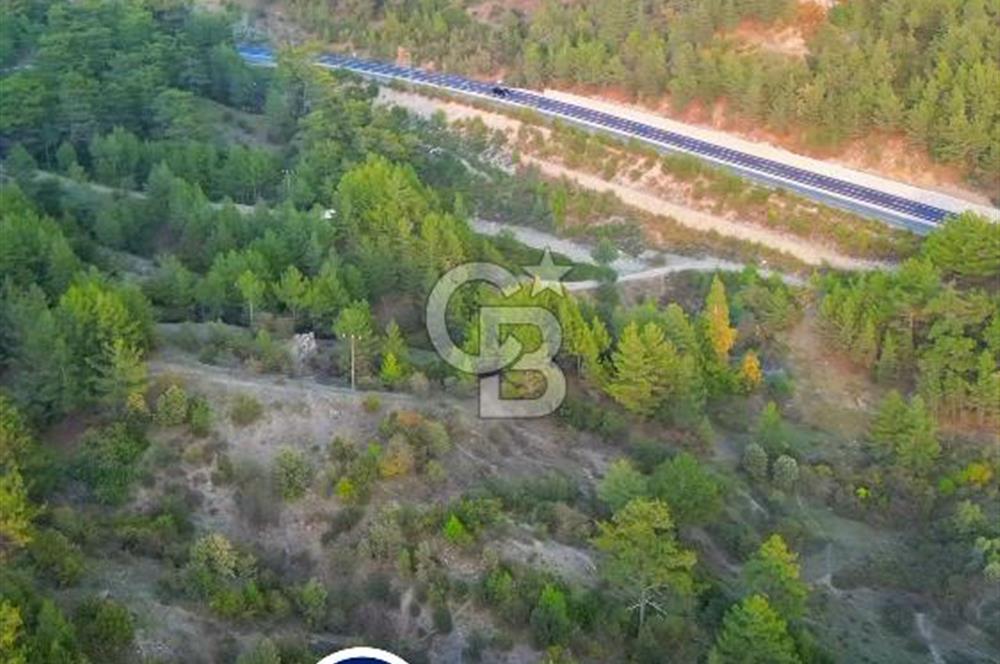 Muğla Ula Yayla Söğüt Mahallesi’nde 2046 m² Arsa