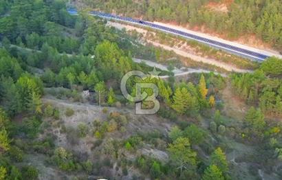 Muğla Ula Yayla Söğüt Mahallesi’nde 2046 m² Arsa