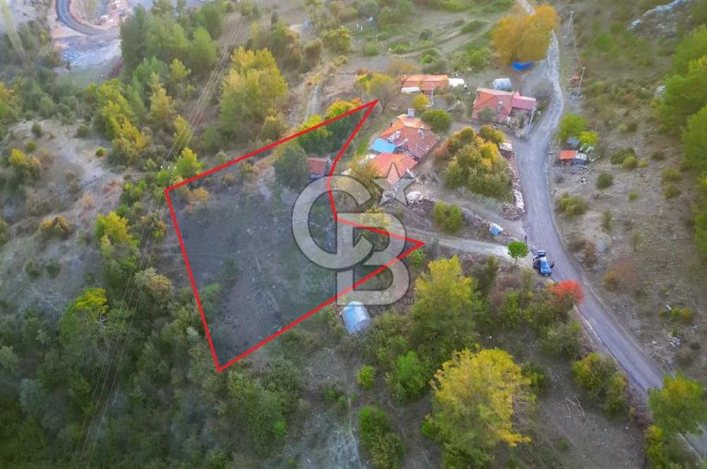 Muğla Ula Yayla Söğüt Mahallesi’nde 2046 m² Arsa