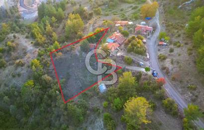 Muğla Ula Yayla Söğüt Mahallesi’nde 2046 m² Arsa