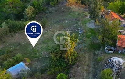Muğla Ula Yayla Söğüt Mahallesi’nde 2046 m² Arsa