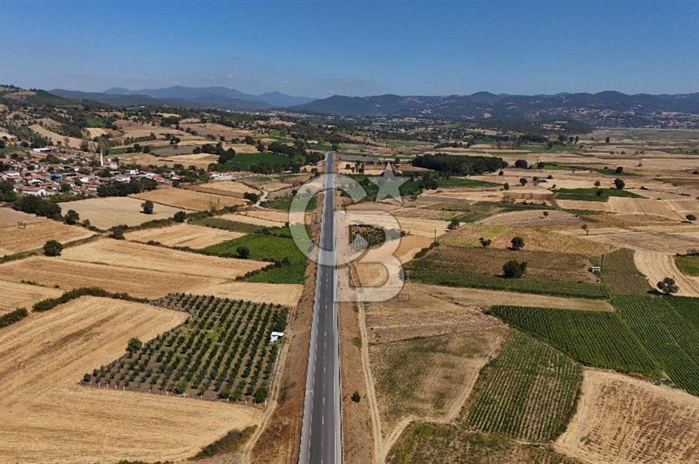 Çanakkale Yenice Gündoğdu Köyünde 4.829 M² Satılık Tarla !