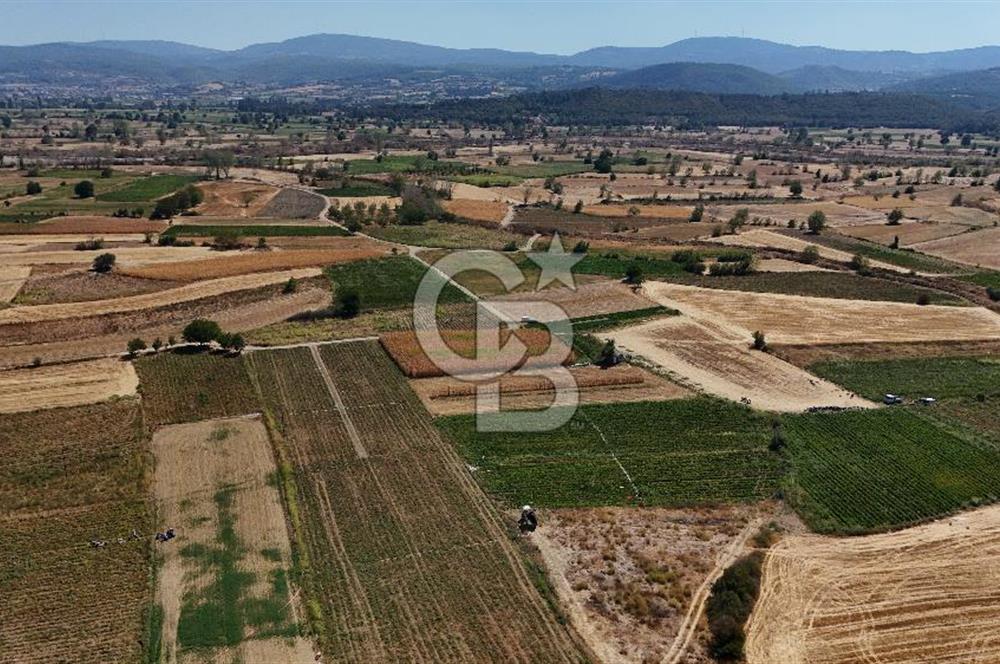 Çanakkale Yenice Gündoğdu Köyünde 4.829 M² Satılık Tarla !